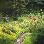 Ontdek de Betoverende Schoonheid van Leibomen: Planta als Pronkstuk in Je Tuin